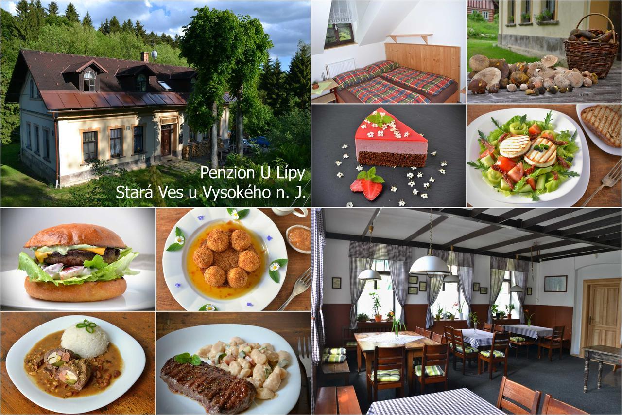 Penzion U Lipy Vysoké nad Jizerou 外观 照片