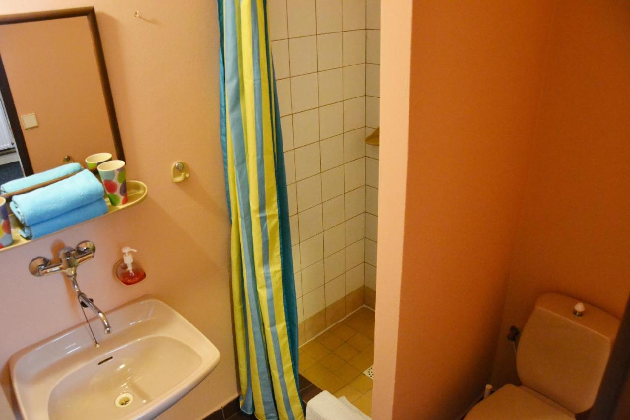 Penzion U Lipy Vysoké nad Jizerou 外观 照片